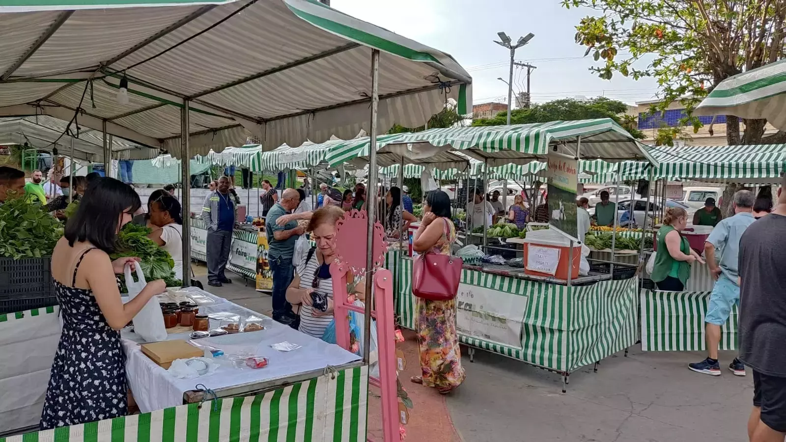 Feira Livre do Produtor Rural acontece no interior da Praça Cesário Alvim nesta quarta-feira em Santos Dumont